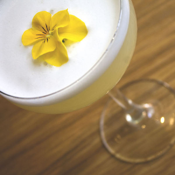 Cocktail Masterclass